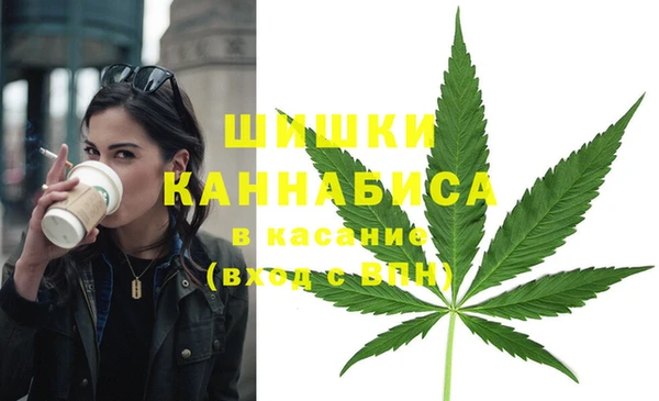 метадон Няндома
