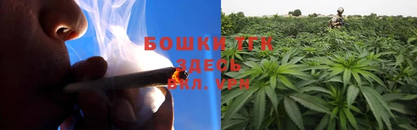 метадон Няндома