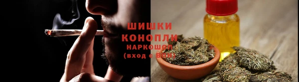 метадон Няндома