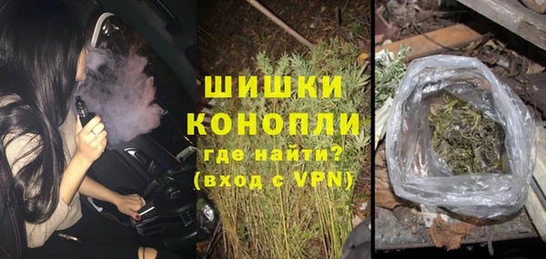 метадон Няндома
