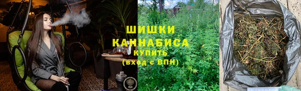 метадон Няндома