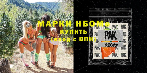 метадон Няндома