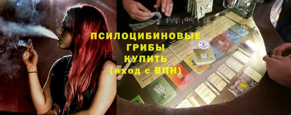 метадон Няндома
