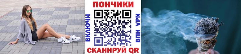 Бошки марихуана конопля Шебекино